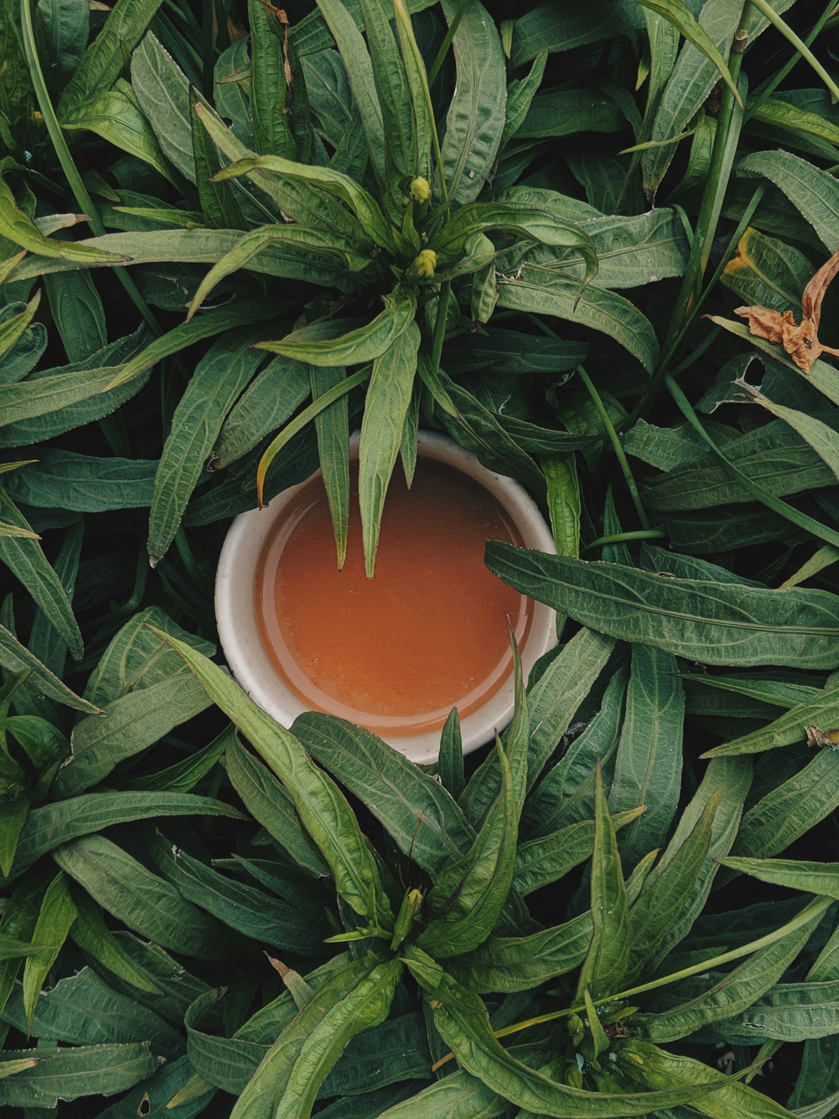 Gut Cleanses and "Detox": What Science Actually Supports