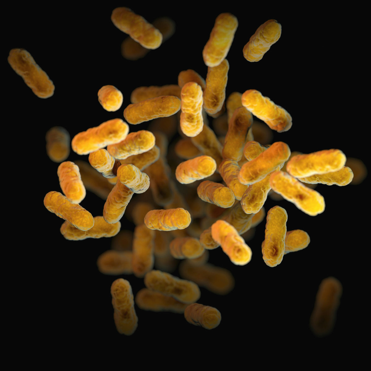 Getting Your Gut Flora Analyzed: Methods, Costs and What to Expect