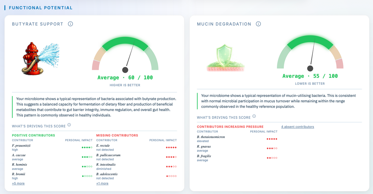 Funktionelle Mikrobiom-Analysen