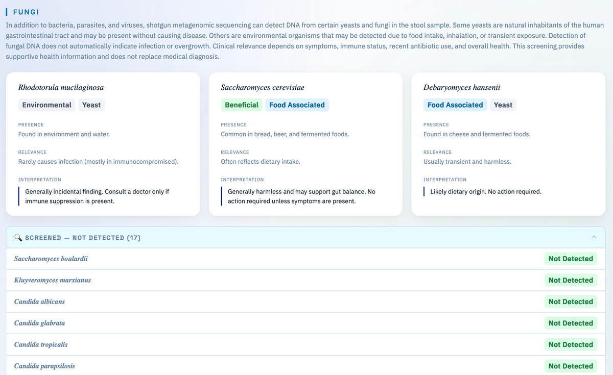Platzhalter – Screenshot