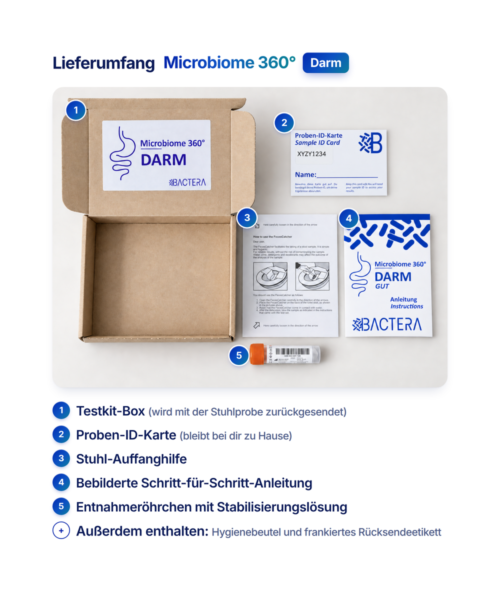 Microbiome 360° Darm