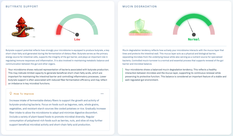 Functional Microbiome Analysis Report 1