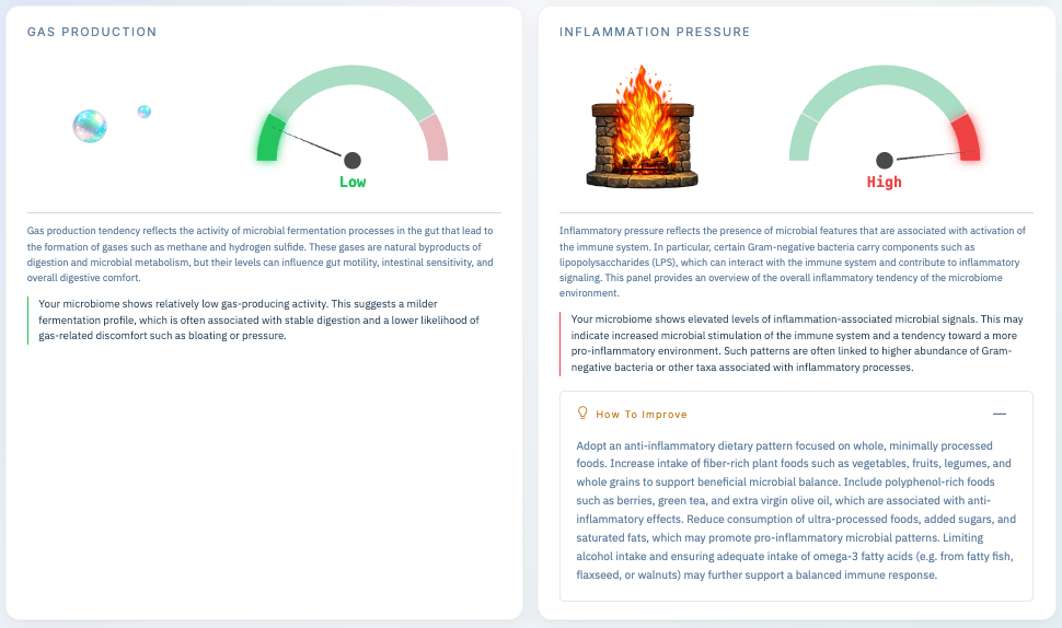 Functional Microbiome Analysis Report 2