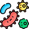 Bacterial diversity