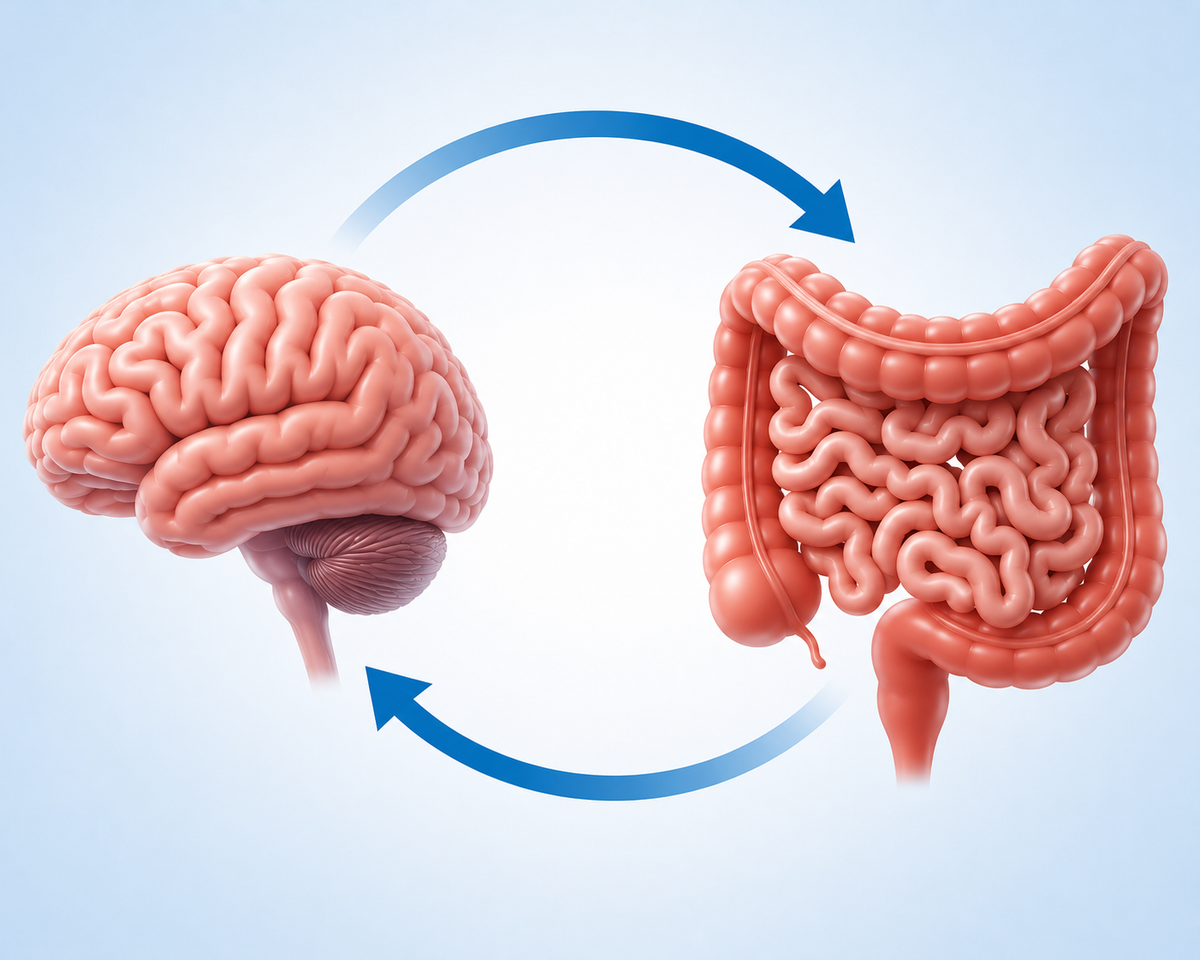 Gut-brain axis illustration