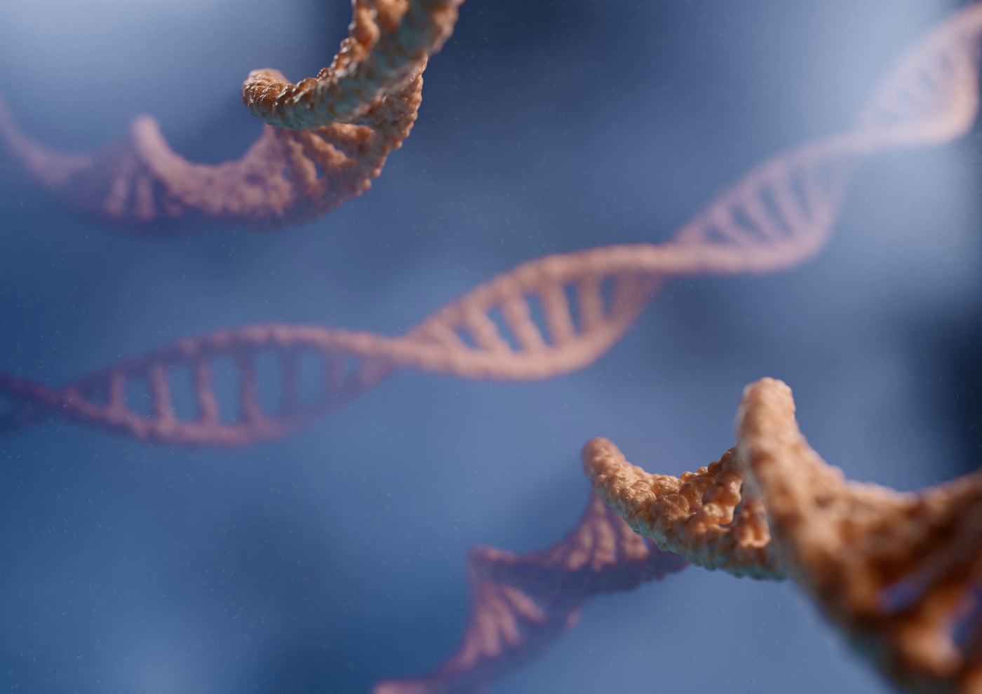 Shotgun Sequencing Explained: The Future of Gut Microbiome Analysis
