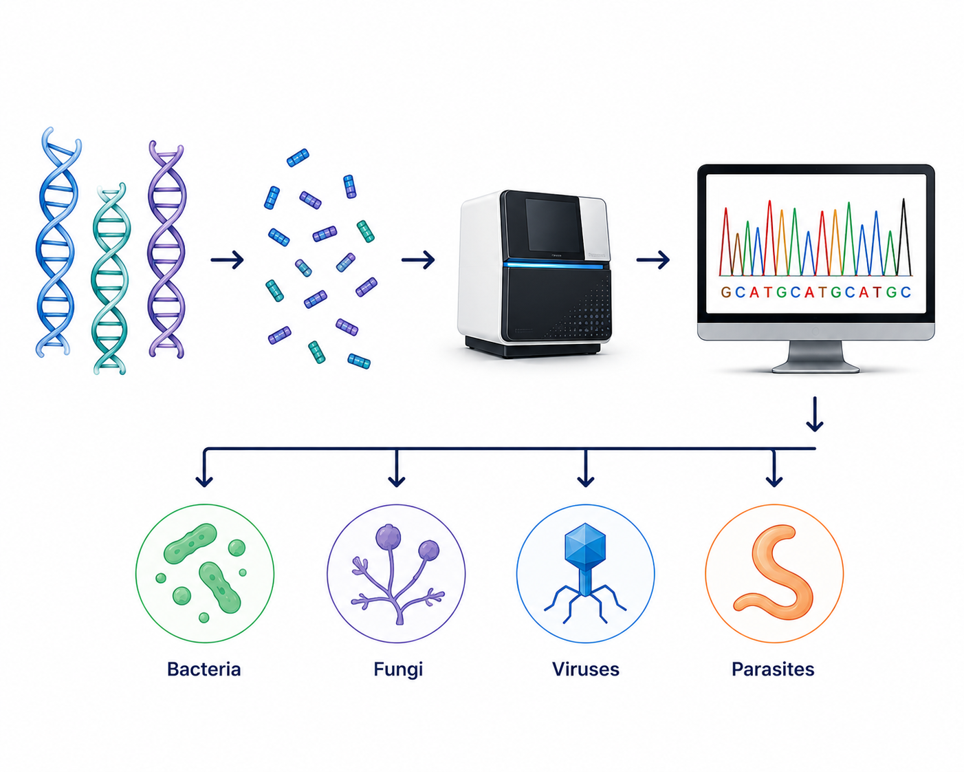 Shotgun sequencing visualization
